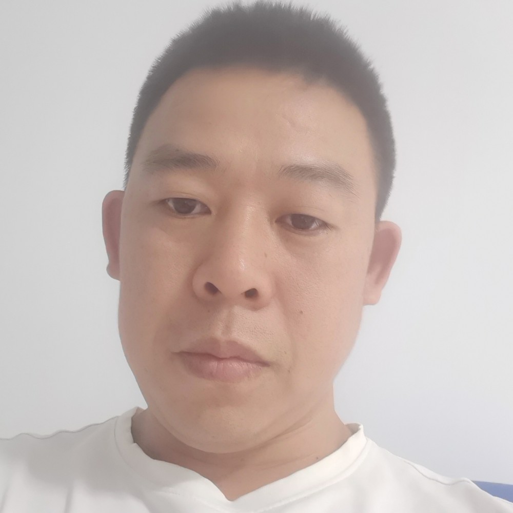 长青树叶的照片