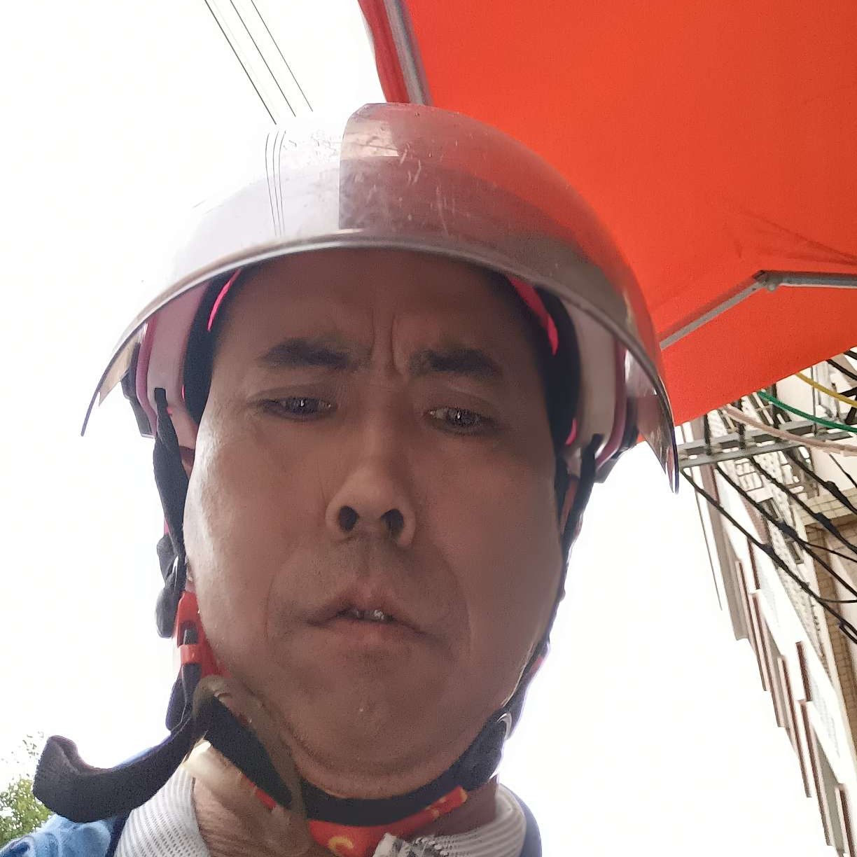 怕孤独向鱼的照片