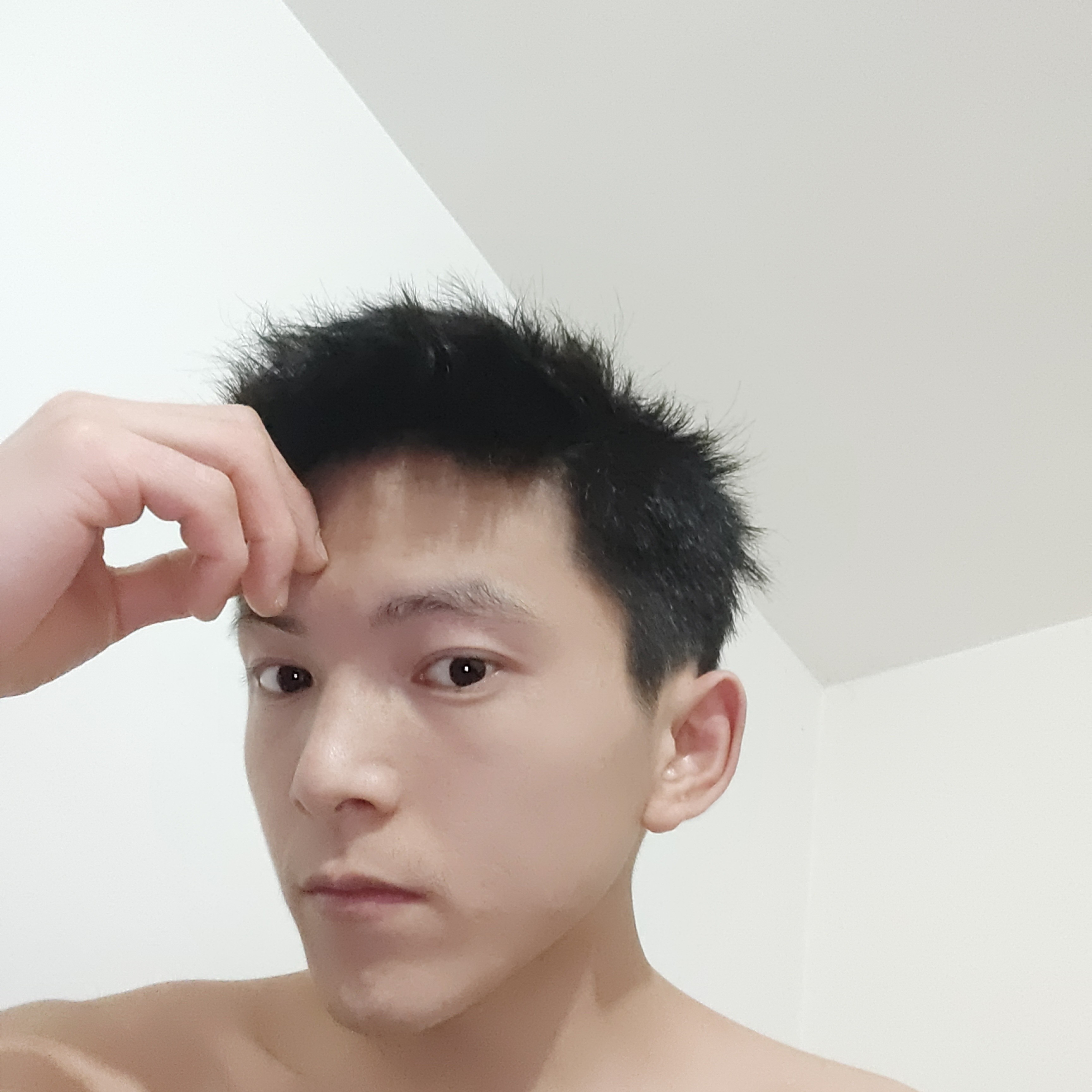紫菜爱饱满的照片