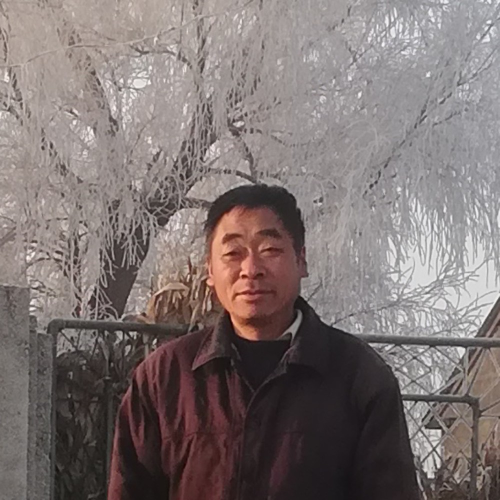 冰雪之花的照片