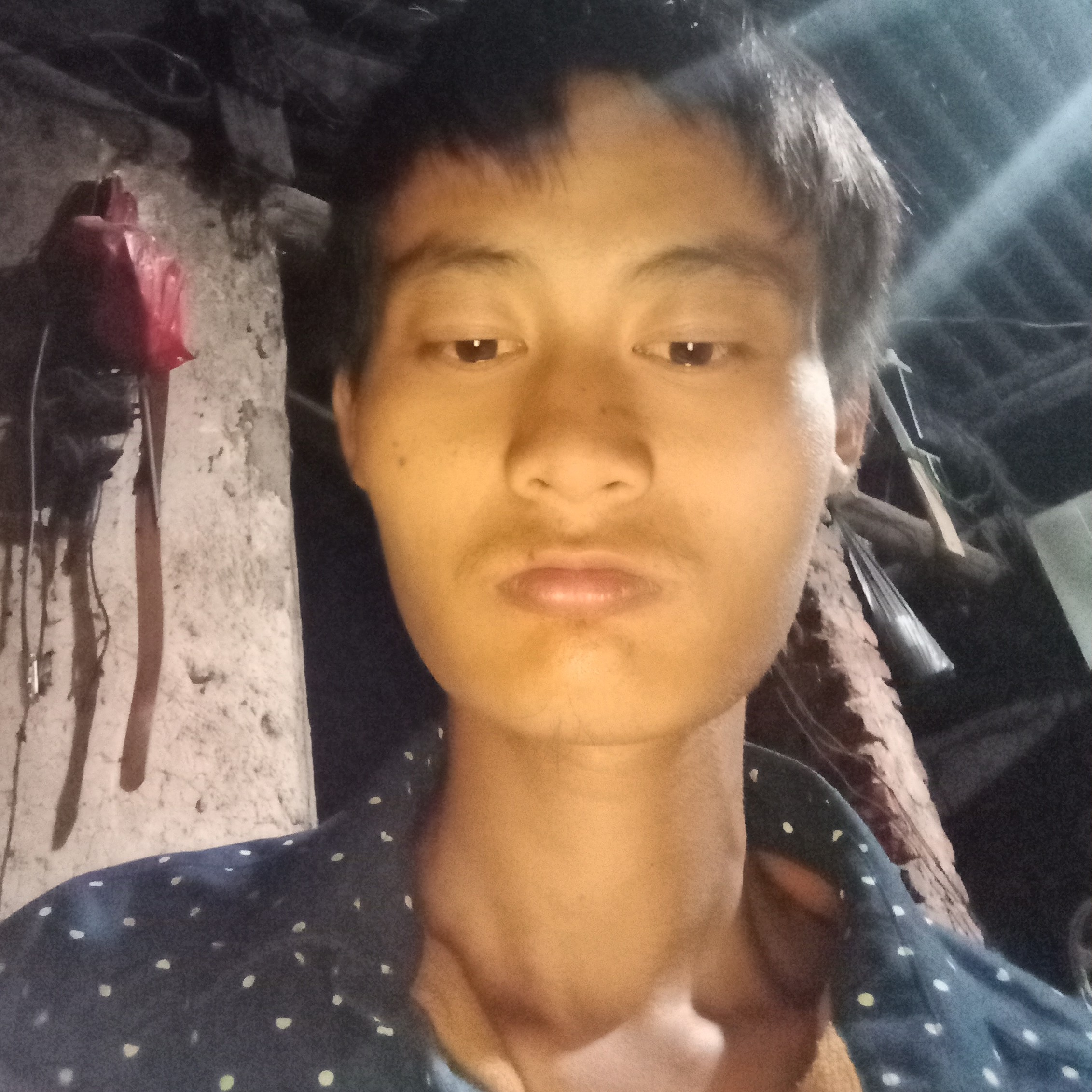 炜龙的照片