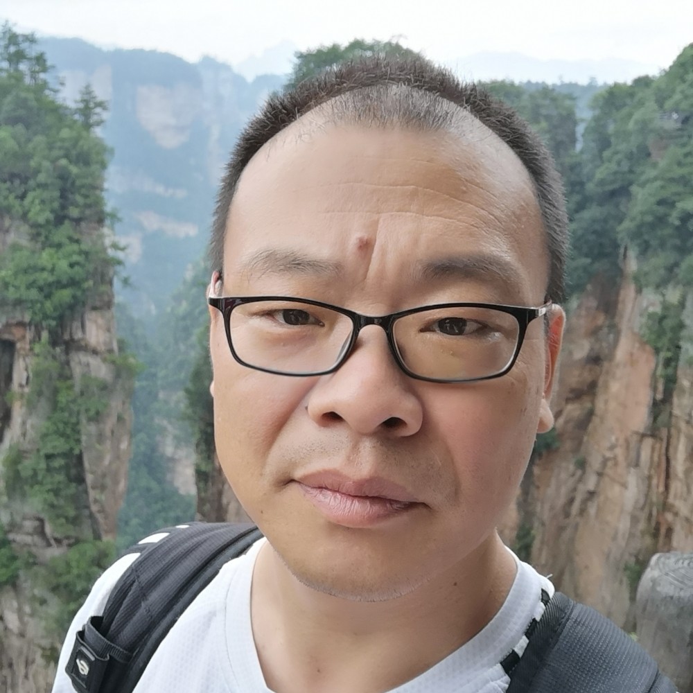 蚂蚁无语的照片
