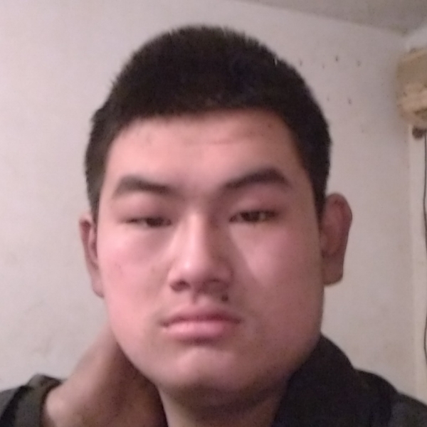 239的照片