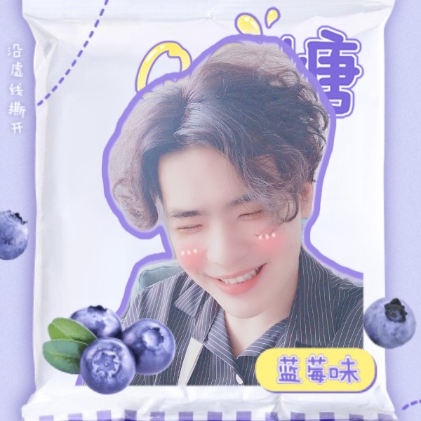 斑马知性的照片