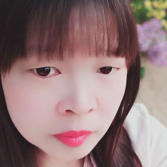 羊缓慢的照片