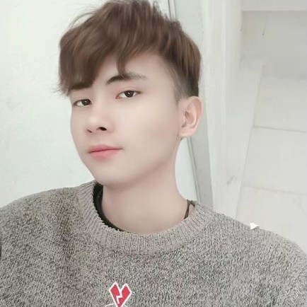 光亮等待金毛的照片
