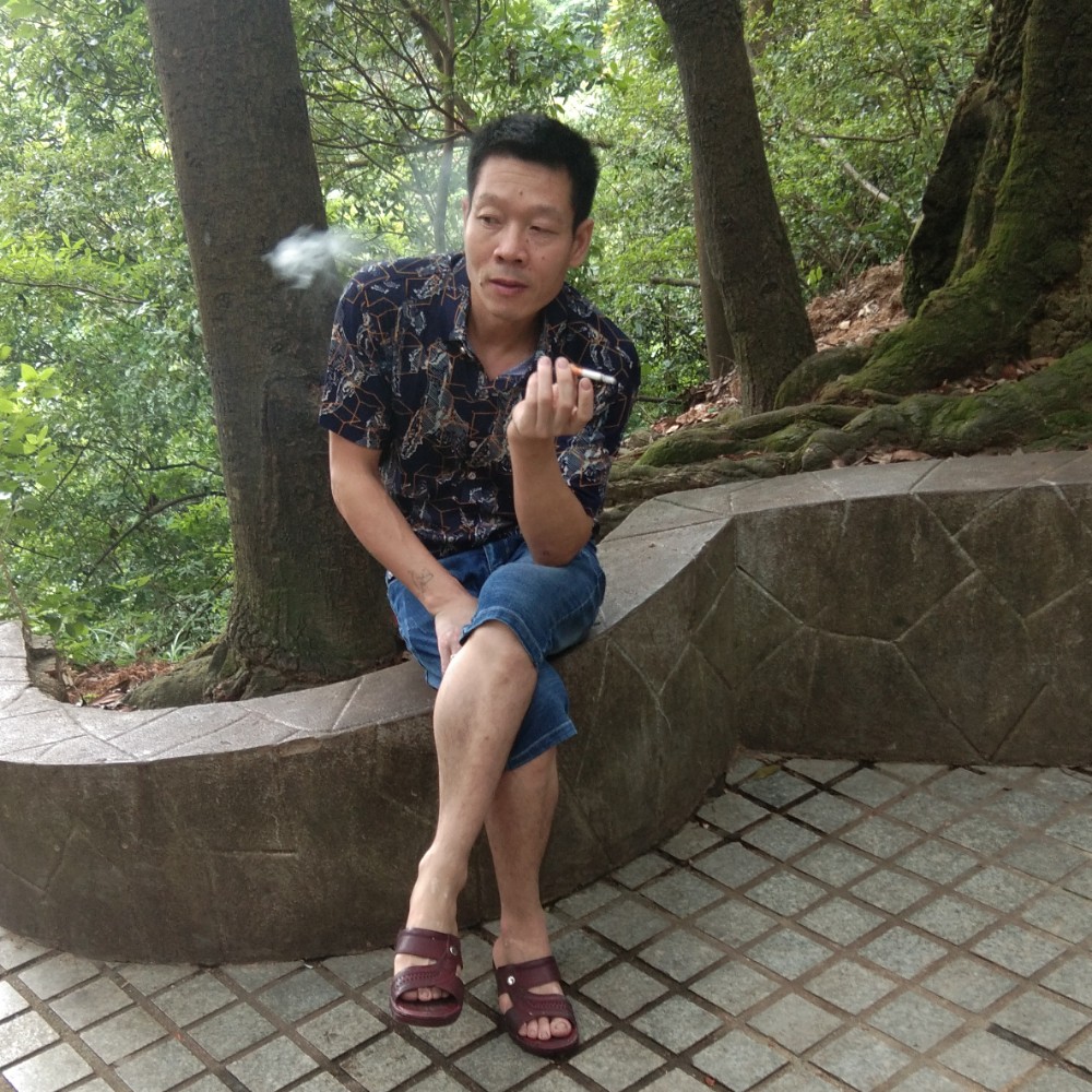 泥猴桃浅吻沉静的照片