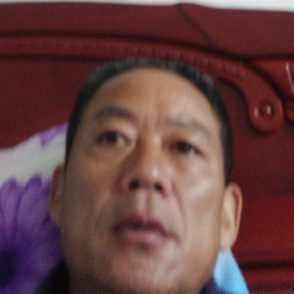 鼠标缓慢的照片