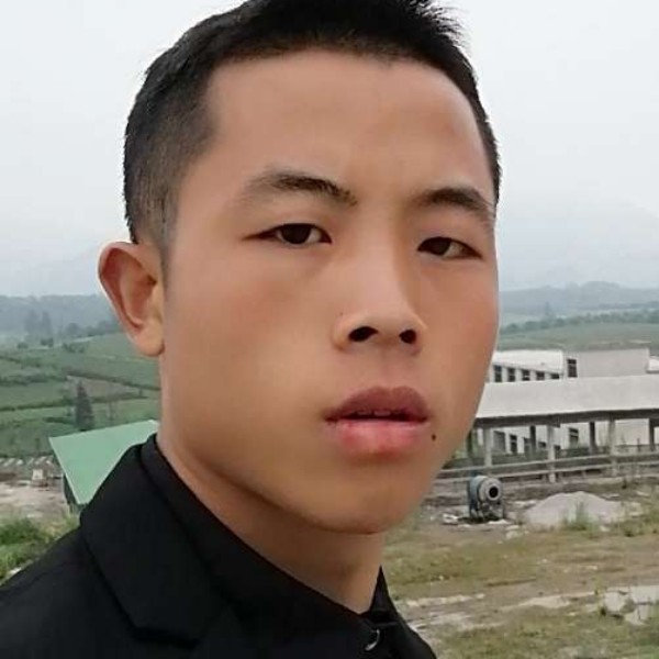 活力的草丛的照片