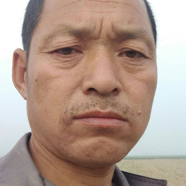 一年之计的照片