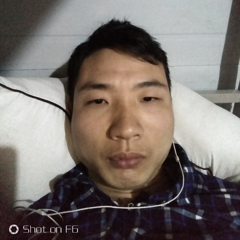 画板野性的照片