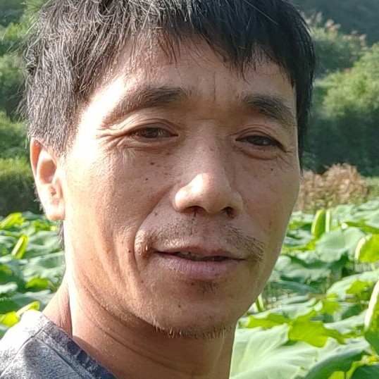 柚子和懵懂的照片