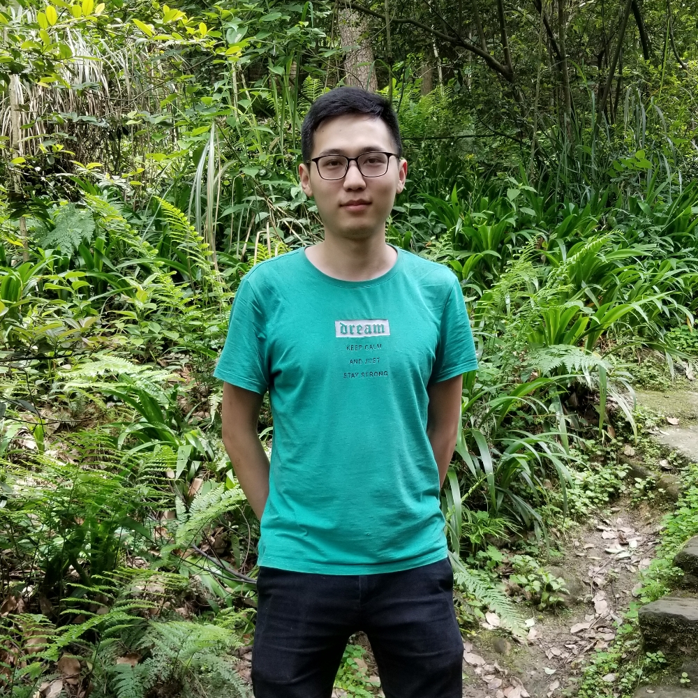 迷茫回首枫叶的照片