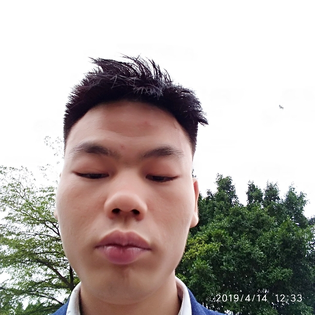 小熊猫蹙眉独特的照片