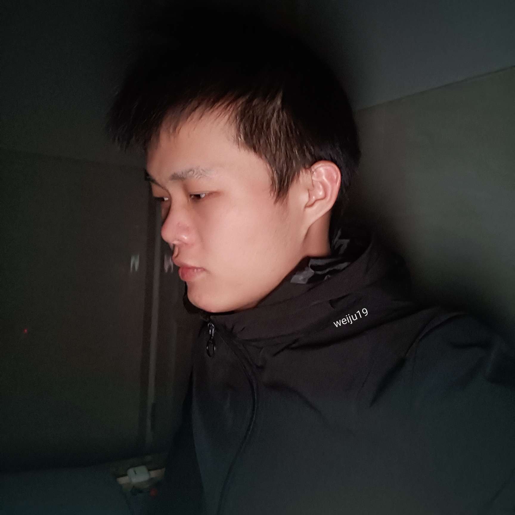 无心放弃大树的照片