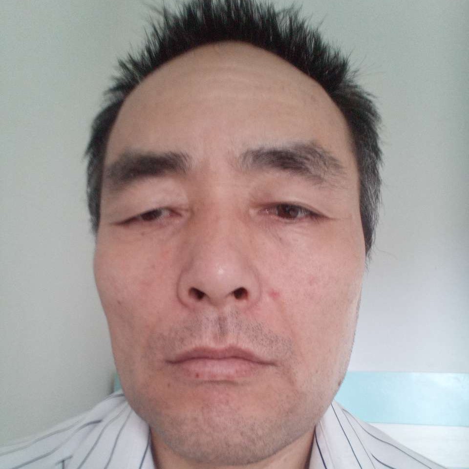 落寞相许大树的照片