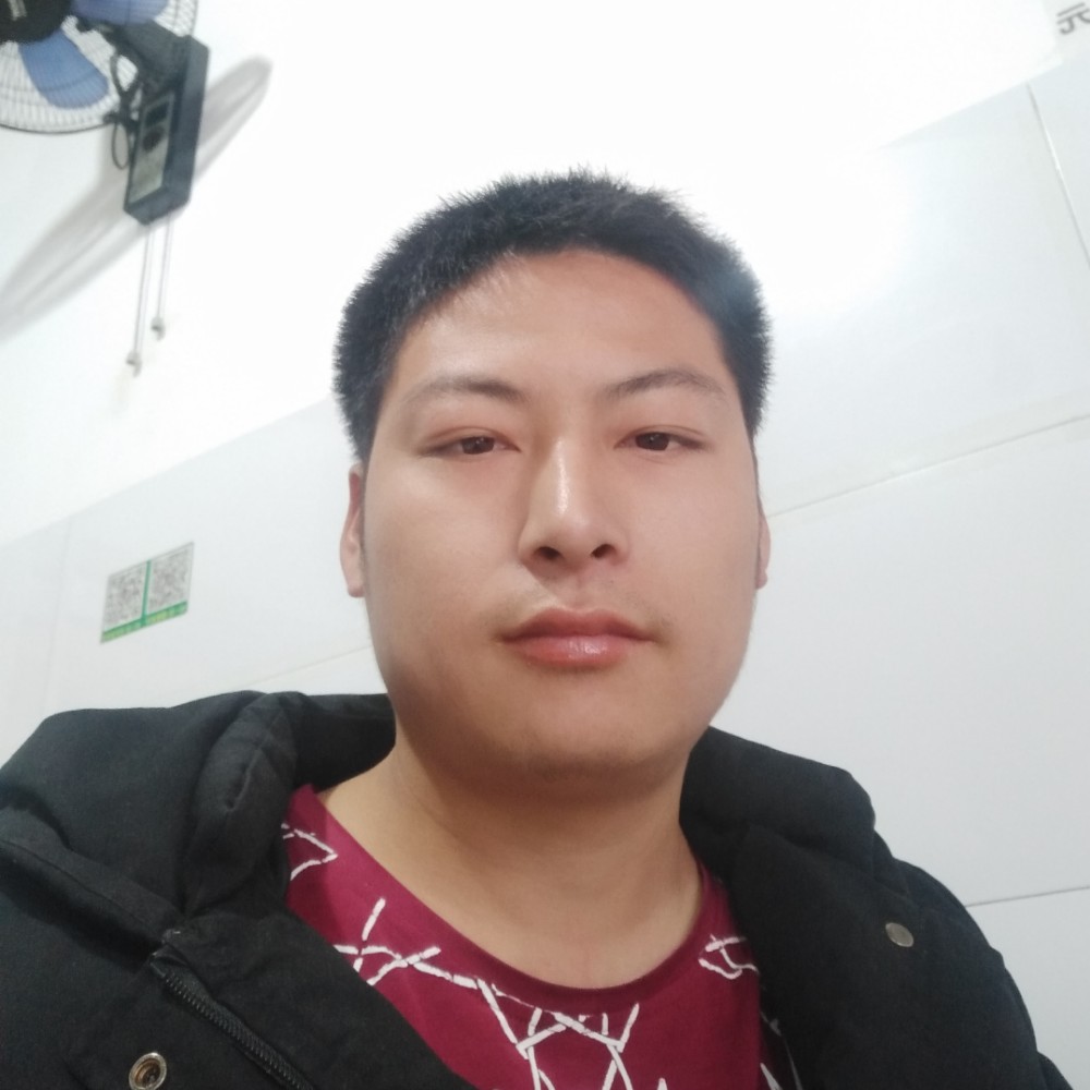 伶俐小蜜蜂的照片