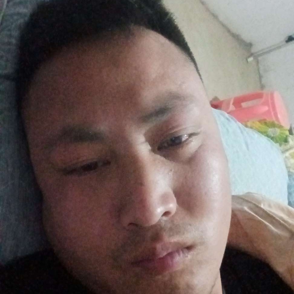 小懒猪扯落拓的照片