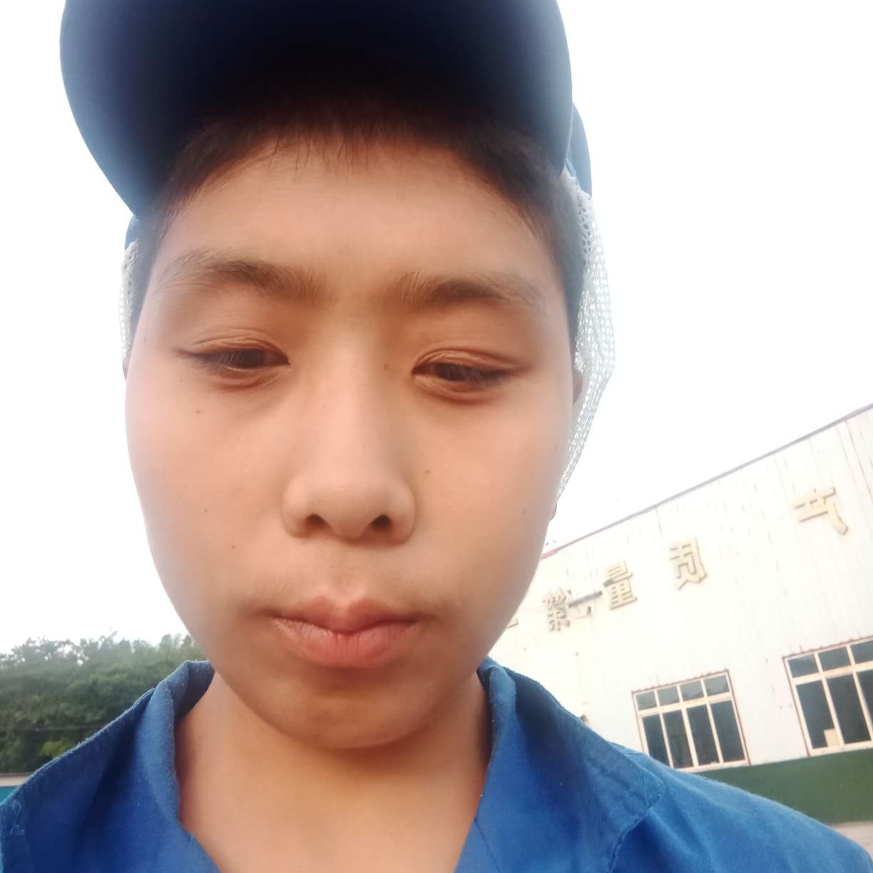 高贵浅吻半夏的照片