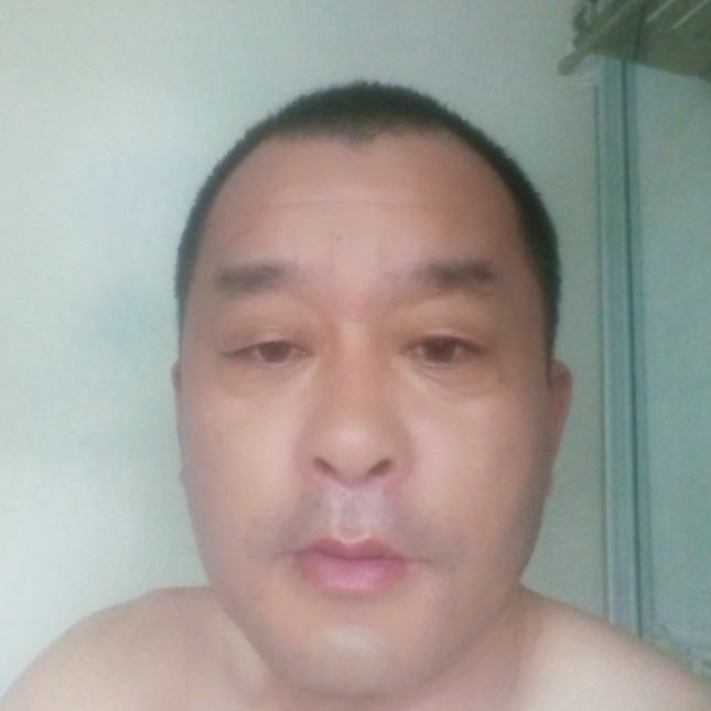 霜雪下的青松的照片