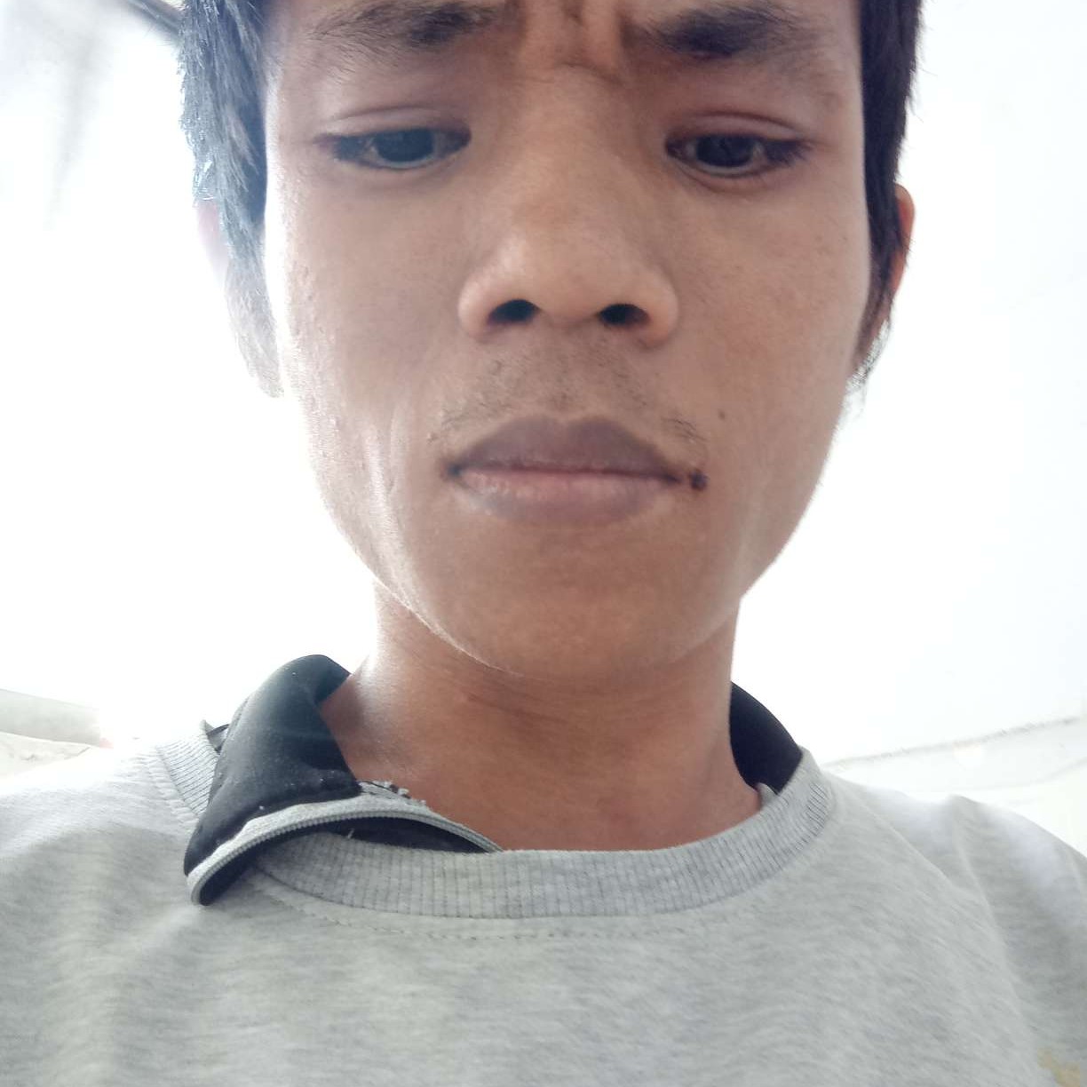 谨慎爱战斗机的照片