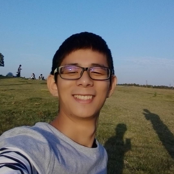 飞鸟的单纯的照片