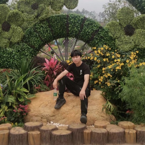 梦的归港的照片