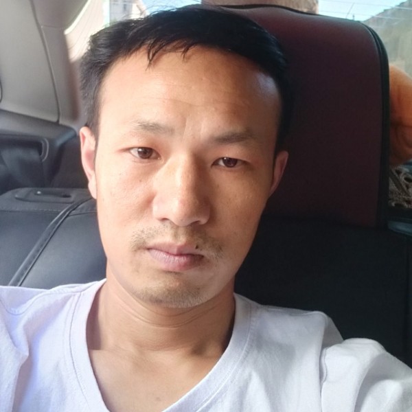 小熊猫回眸复杂的照片