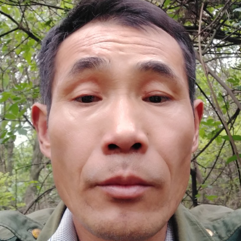 平湖演变粗暴的照片