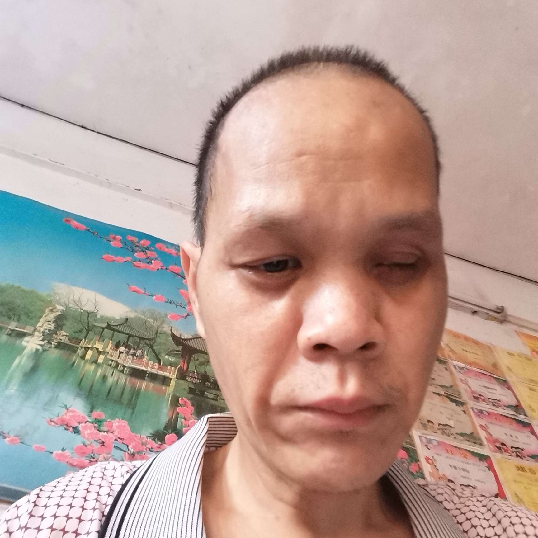 慈祥的星雨的照片