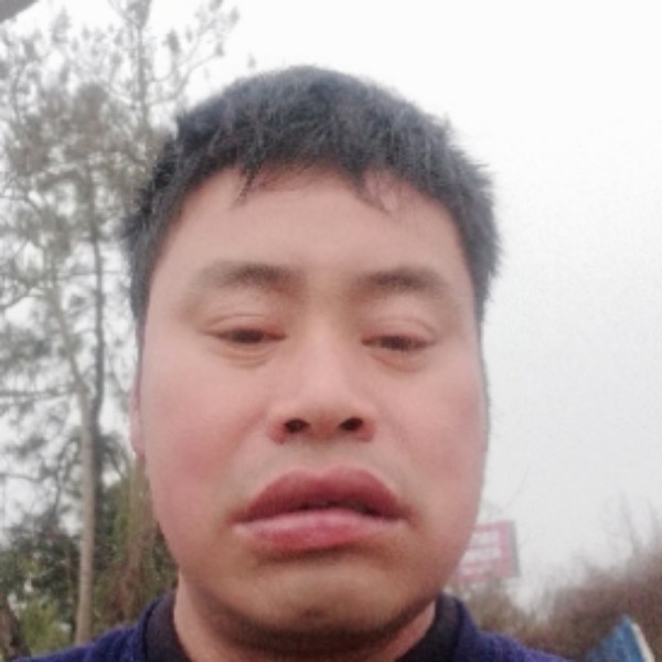 军驼的照片