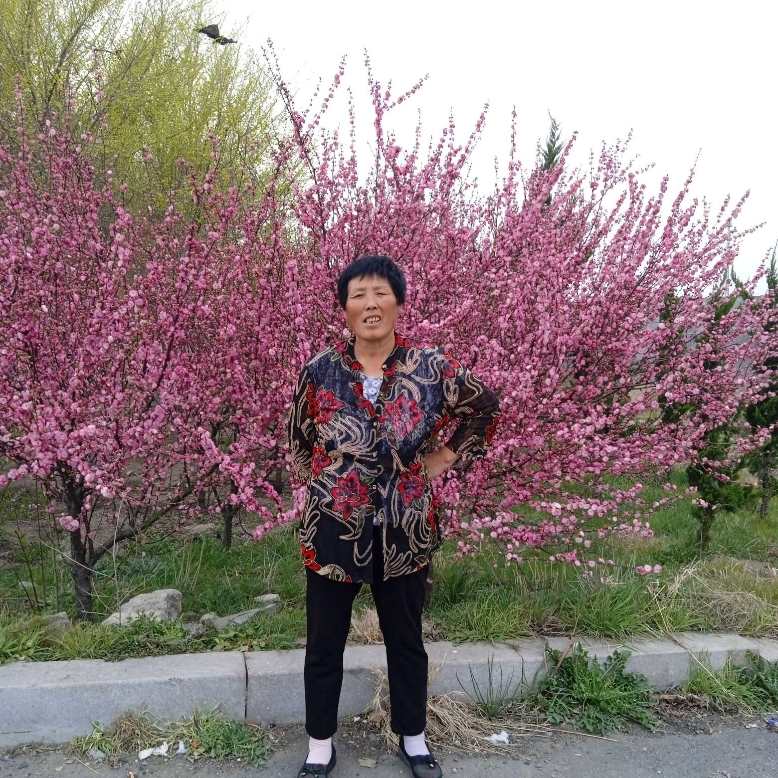 缥缈等待尘宵的照片