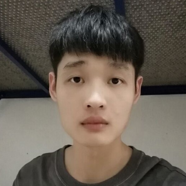 大树用动听的照片