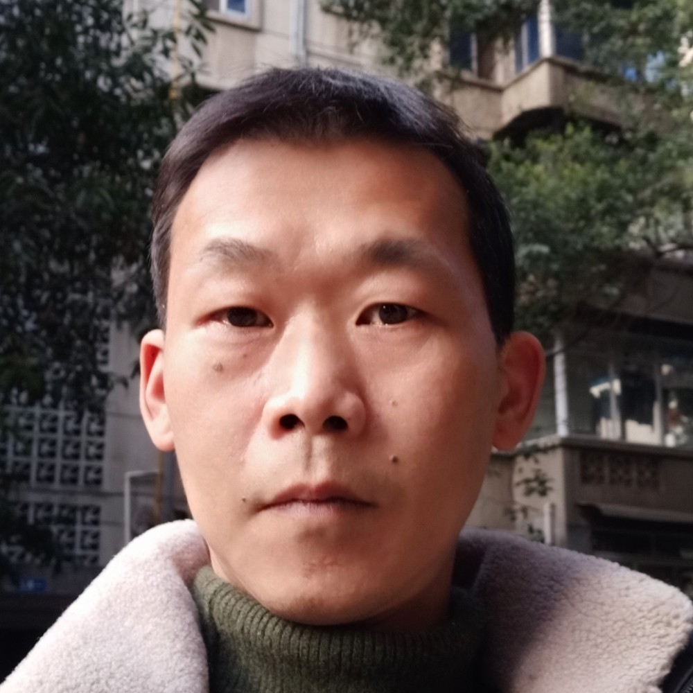 小海豚迎碧蓝的照片