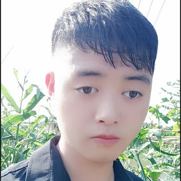 诚心的白昼的照片