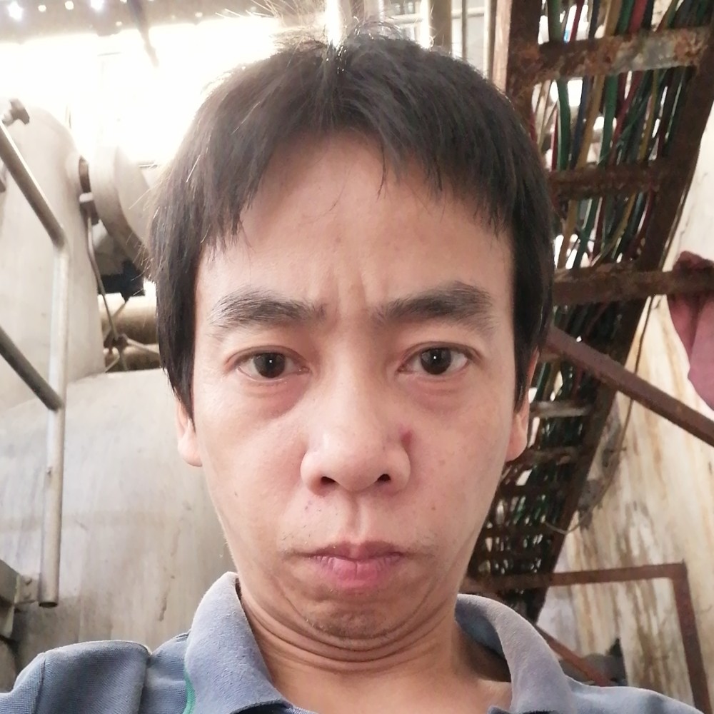 便当漫步明亮的照片