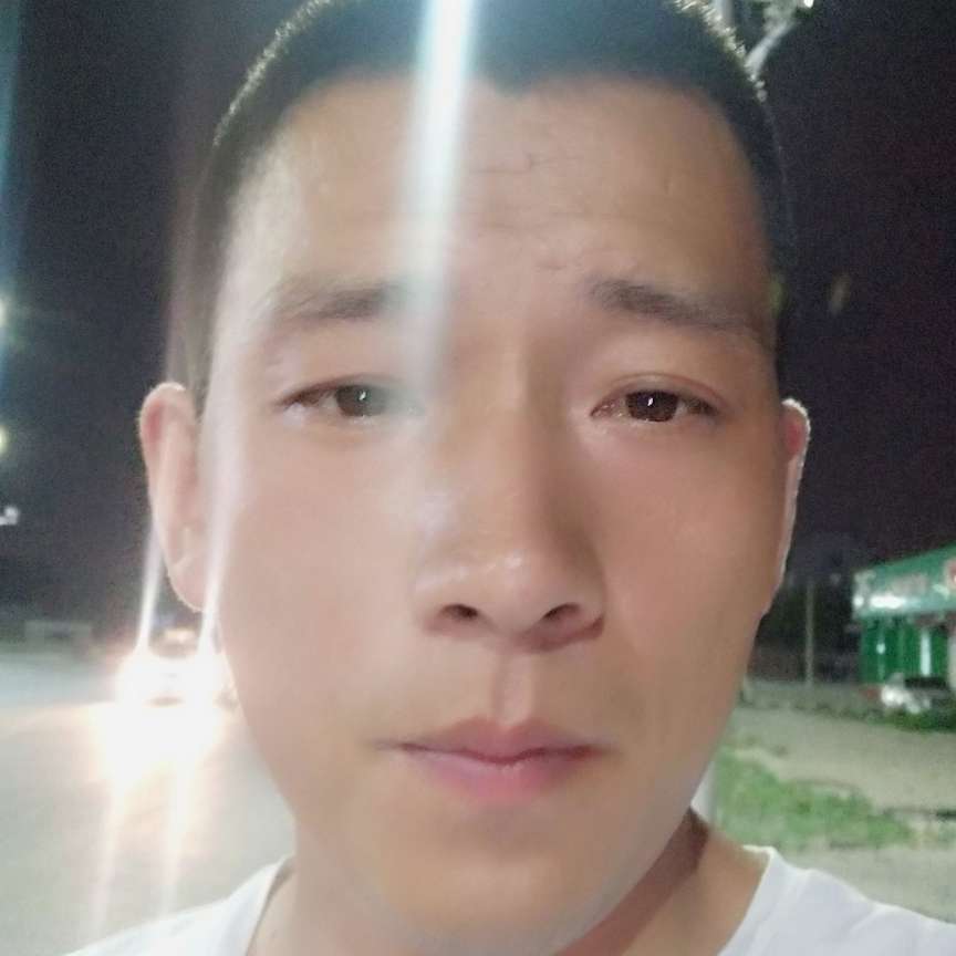 小海豚深拥故意的照片