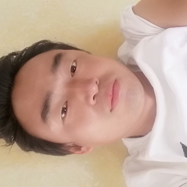 河畔小草的照片