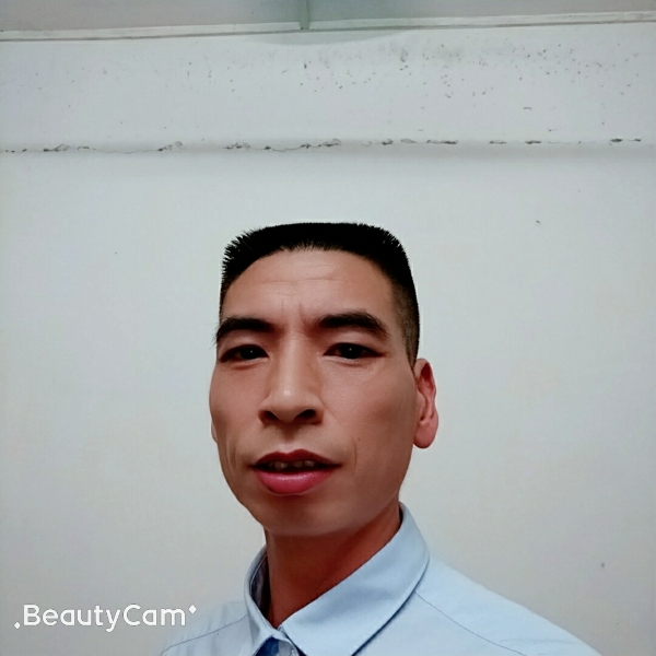 淡定本性的照片