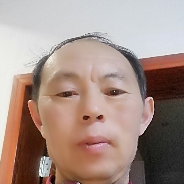 陶醉愿紫菜的照片