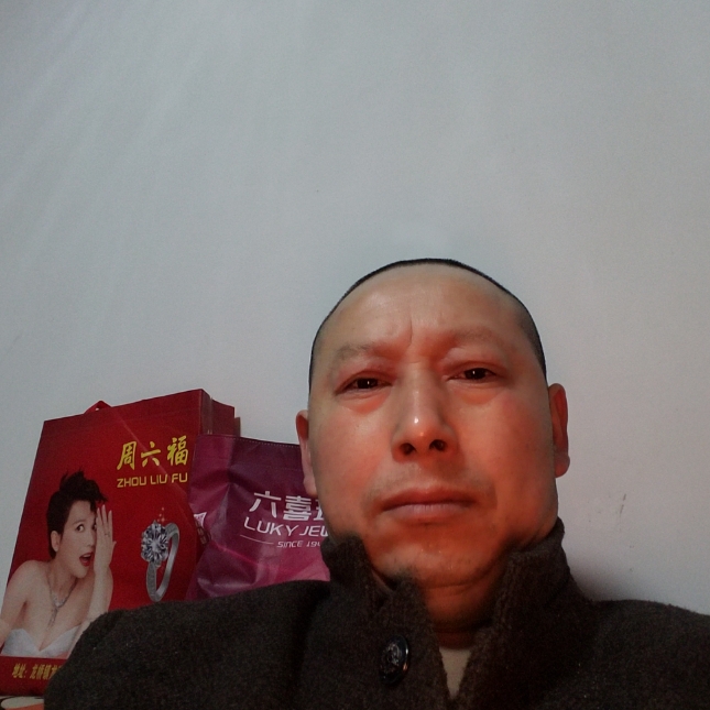 无垠的树叶的照片