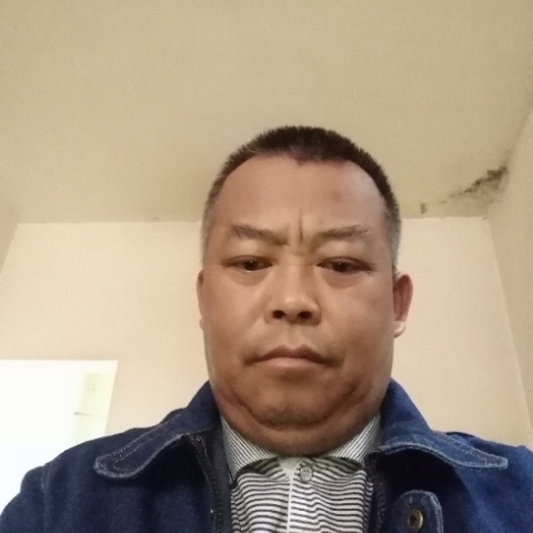 大象浅吻乐观的照片