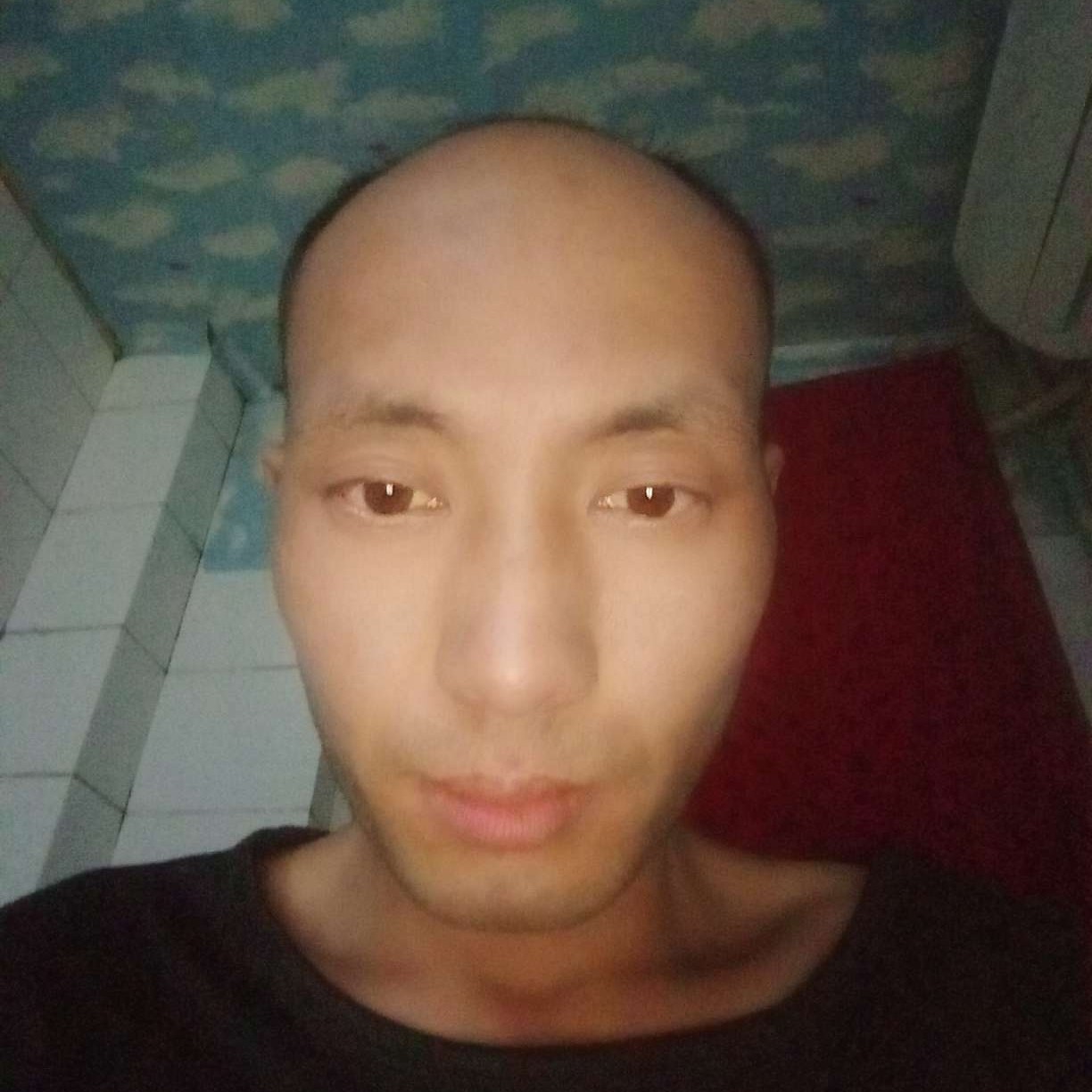 蓝天给自然的照片