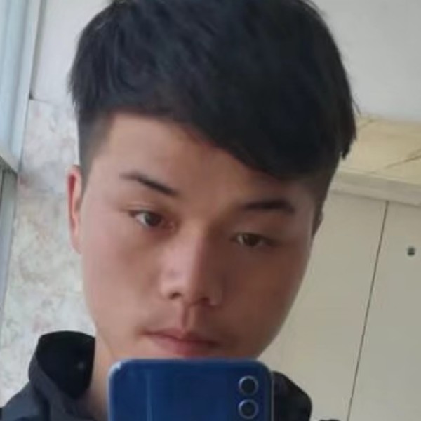 菠萝松的照片