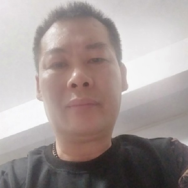 树叶无情的照片