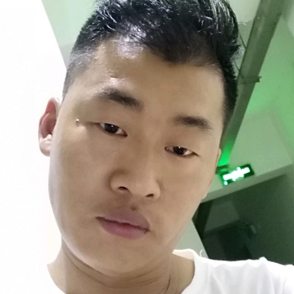 长颈鹿和苹果的照片