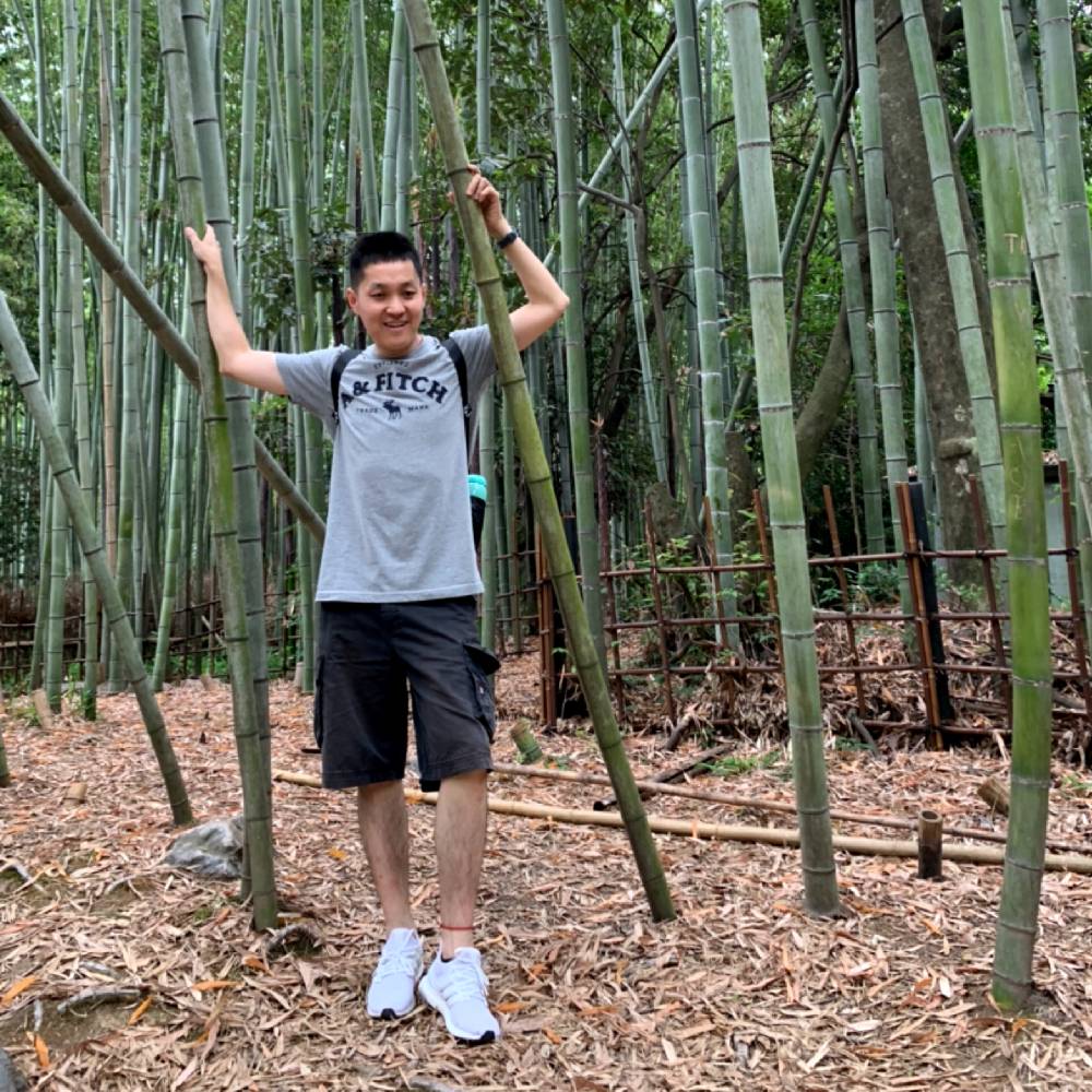 江边一支鸟的照片