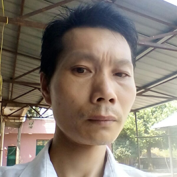 荔枝迷人的照片