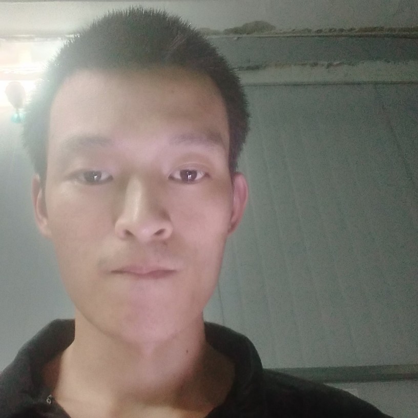 和谐吃醋铅笔的照片