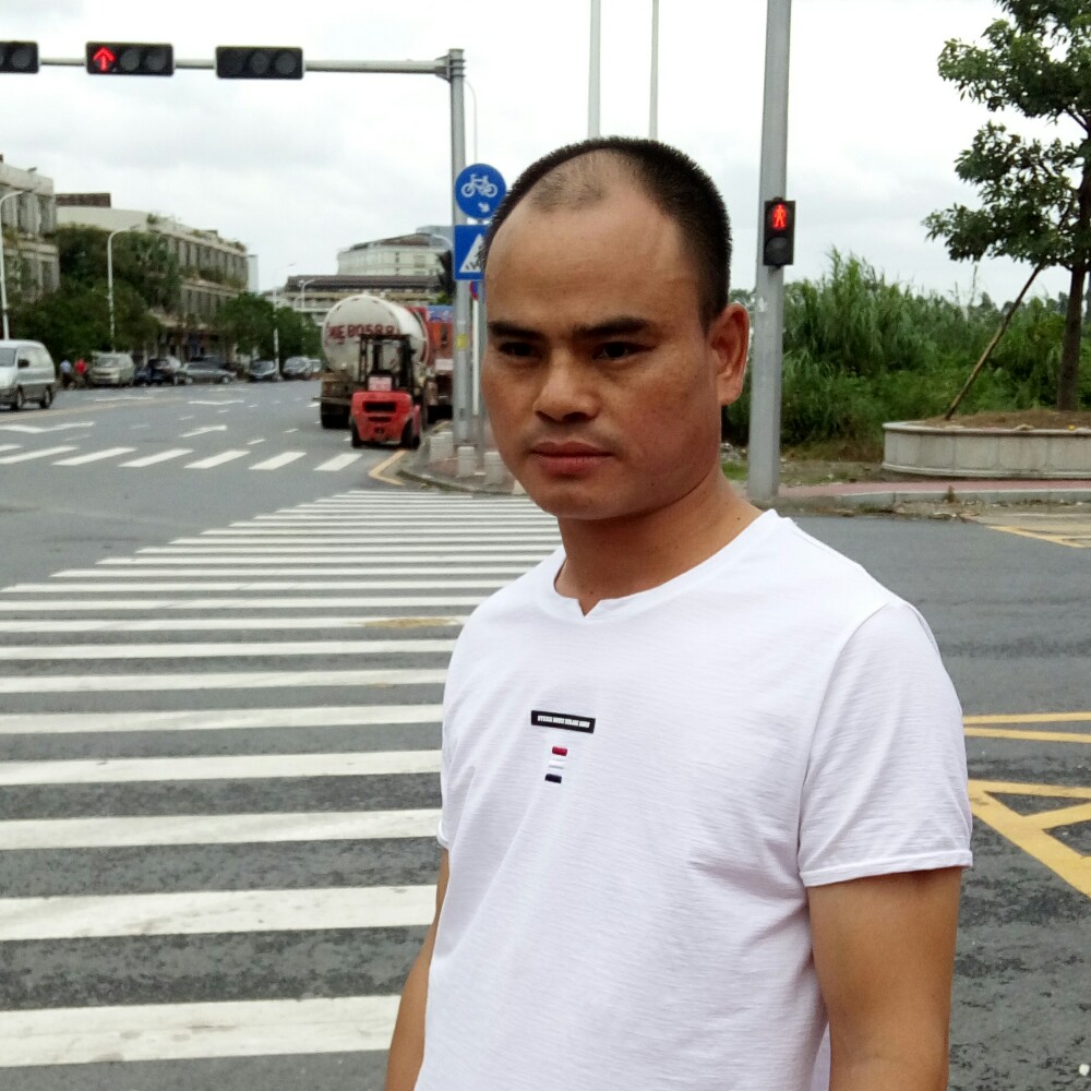 夕阳之鹰的照片